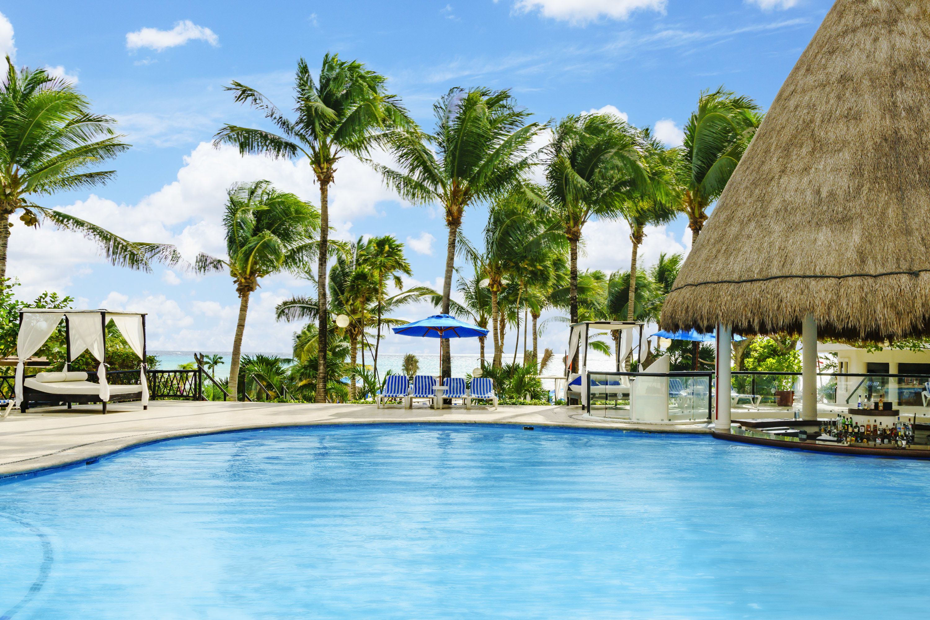 The Reef Playacar Resort & Spa deal