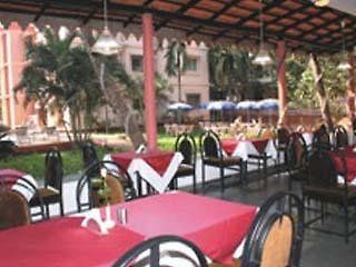 Adamo The Bellus deal