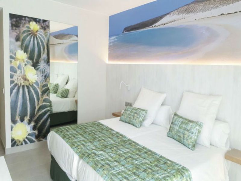 Fergus Cactus Garden deal